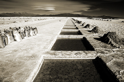 Master the Art of Photographic Composition (Works for Drawings Too)