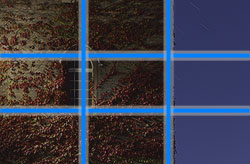 Composition : Rules of Thirds