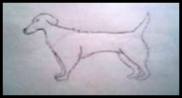 How To Draw Dogs