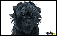 how to draw an affenpinscher