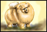how to draw a pomeranian dog