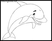 how to draw a dolphin for kids
