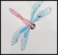 How to Draw a Dragonfly Easy