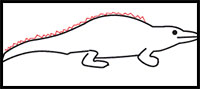 how to draw an alligator