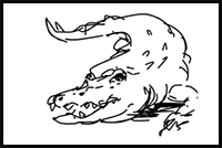 How to Draw Crocodiles