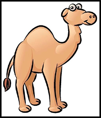 How to draw camels