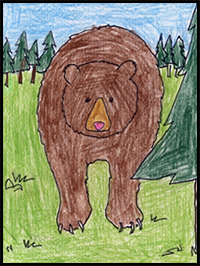 How to Draw a Grizzly Bear