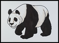 How to Draw a Panda