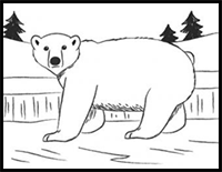 How to Draw a Polar Bear