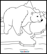 How to Draw a Polar Bear