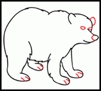 How to Draw a Bear