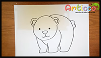 How to Cute Draw a Bear Step by Step for Beginner