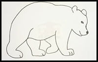 How to Draw a Bear Outline Drawing