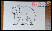 How to Draw a Basic Bear Easy