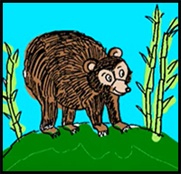 How to Draw a Bear