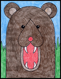how to draw a bear face