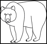 how to draw a brown bear