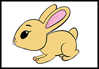 How to Draw a Cartoon Bunny