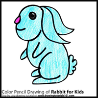 How to Draw a Rabbit for Kids