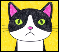 How to Draw a Cat Face