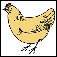 Draw a Chicken Easy (6 Simple Steps)!