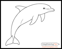How to Draw a Dolphin Step by Step