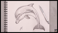 How to Draw a Dolphin | Sketch Tutorial for Beginners