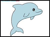 How to Draw a Dolphin