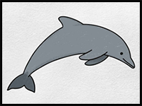 How to Draw a Dolphin
