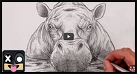 How to Draw a Hippopotamus | Sketch Tutorial