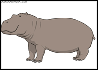 How to Draw a Hippopotamus