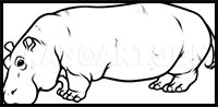 How to Draw a Hippo