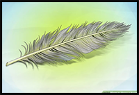 How to Draw a Feather