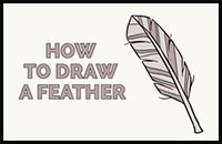 How to Draw a Feather