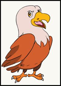 How to Draw a Cartoon Hawk