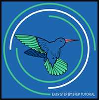 How to Draw a Hummingbird