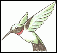 How to Draw a Hummingbird