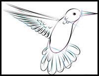 How to Draw a Hummingbird Flying