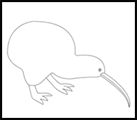 How to Draw a Kiwi