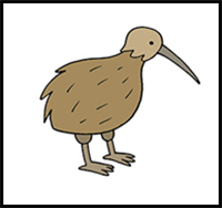 How to Draw a Kiwi Bird for Kids
