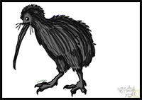 How to Draw a Kiwi