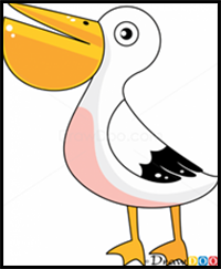 How to Draw Pelican, Birds
