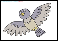 How to Draw a Pigeon