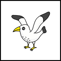 How to Draw a Seagull