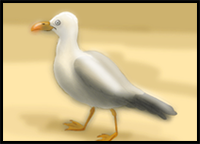 How to Draw a Seagull