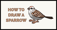How to Draw a Sparrow
