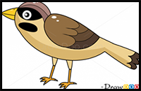 How to Draw Sparrow, Birds