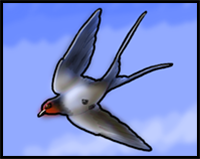 How to Draw a Swallow