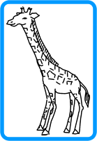 How to draw giraffes