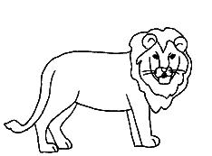 How to draw lions